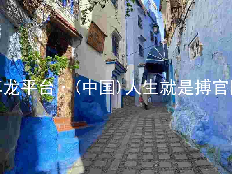 尊龙平台·(中国)人生就是搏官网