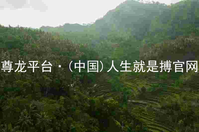 尊龙平台·(中国)人生就是搏官网