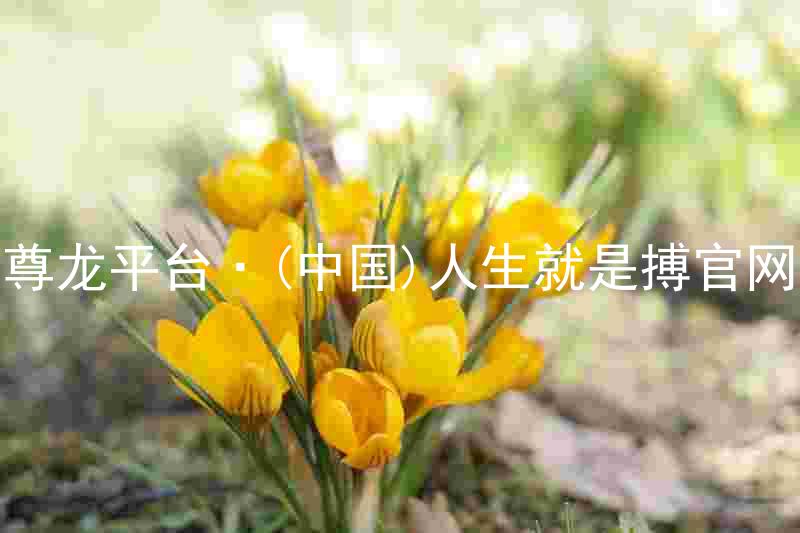 尊龙平台·(中国)人生就是搏官网