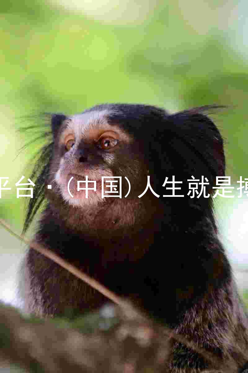 尊龙平台·(中国)人生就是搏官网