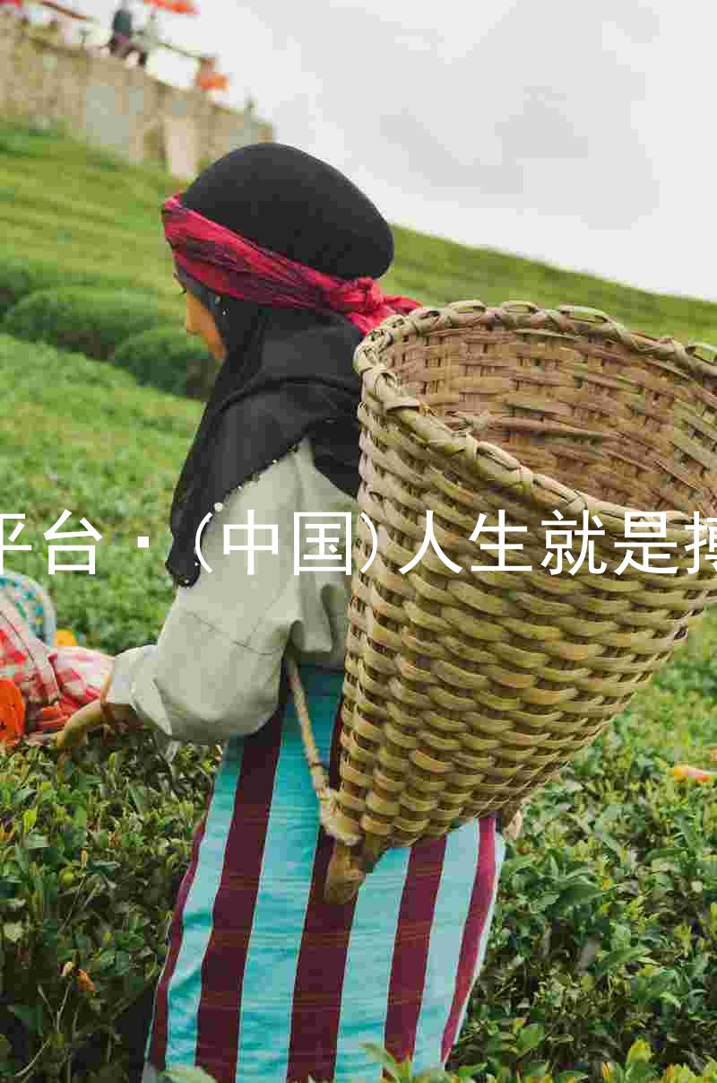 尊龙平台·(中国)人生就是搏官网