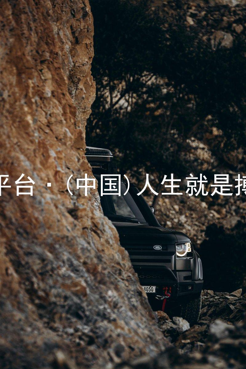 尊龙平台·(中国)人生就是搏官网