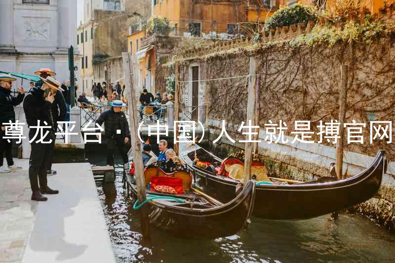 尊龙平台·(中国)人生就是搏官网