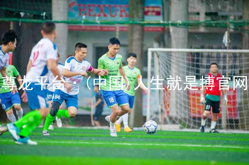 尊龙平台·(中国)人生就是搏官网