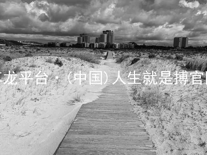 尊龙平台·(中国)人生就是搏官网