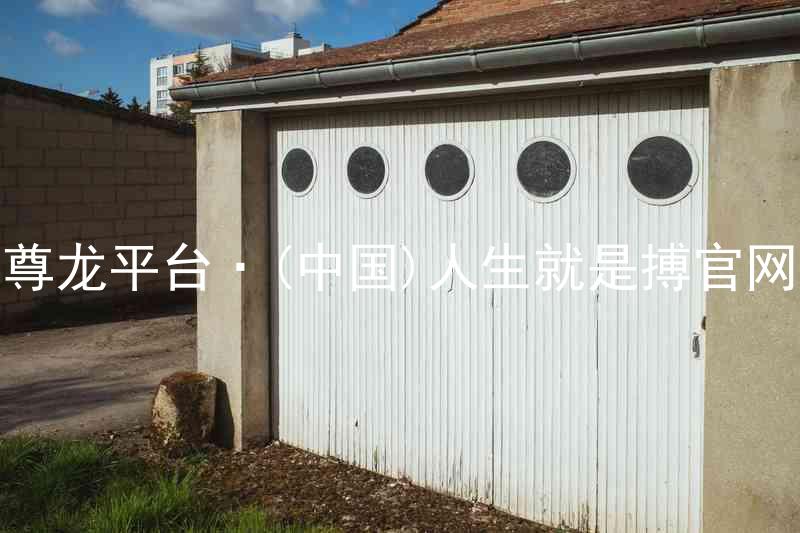 尊龙平台·(中国)人生就是搏官网