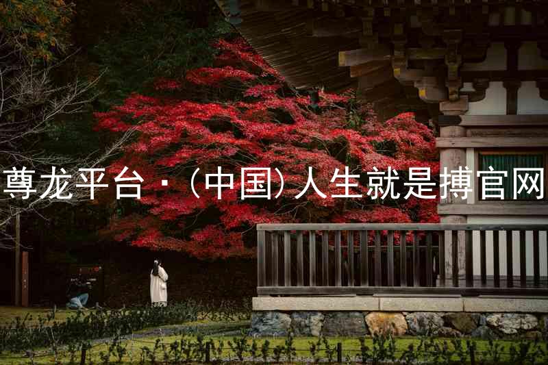 尊龙平台·(中国)人生就是搏官网