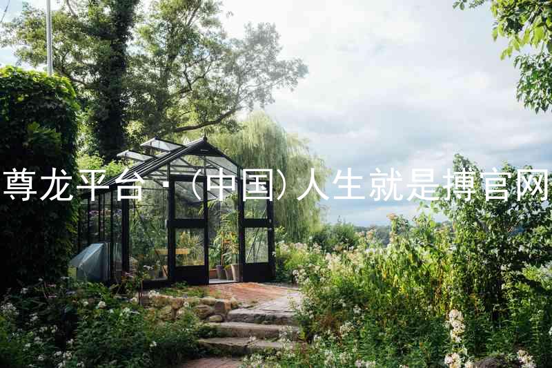 尊龙平台·(中国)人生就是搏官网