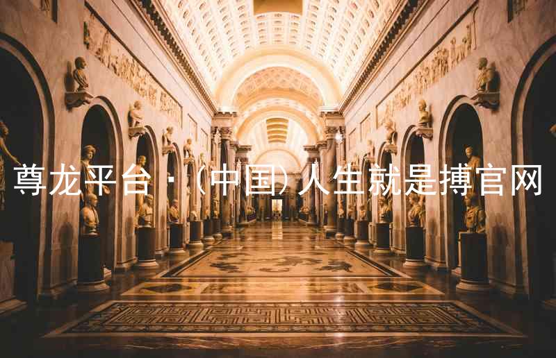 尊龙平台·(中国)人生就是搏官网