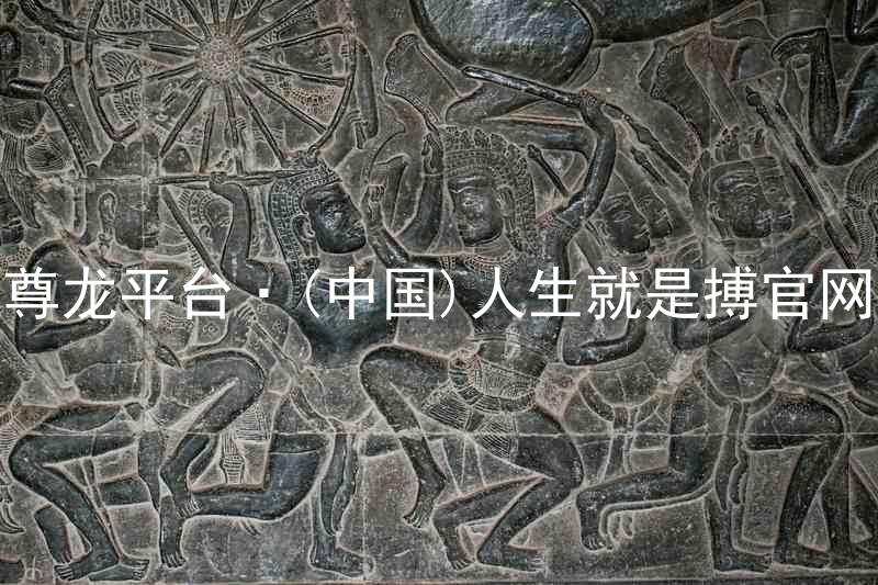尊龙平台·(中国)人生就是搏官网