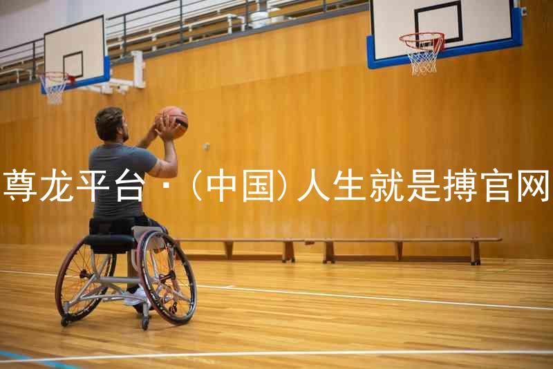 尊龙平台·(中国)人生就是搏官网